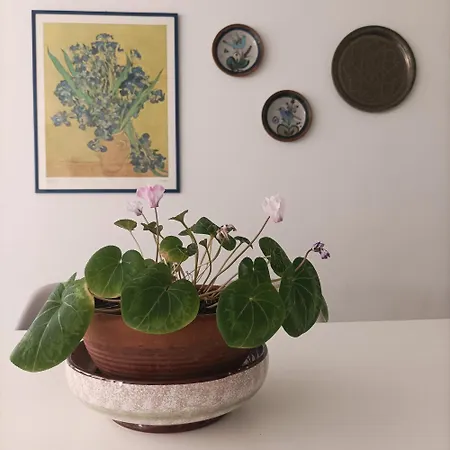 Apartament Fossolapietra26