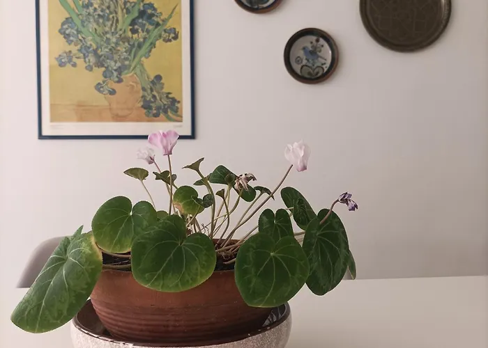 Апартаменты Fossolapietra26